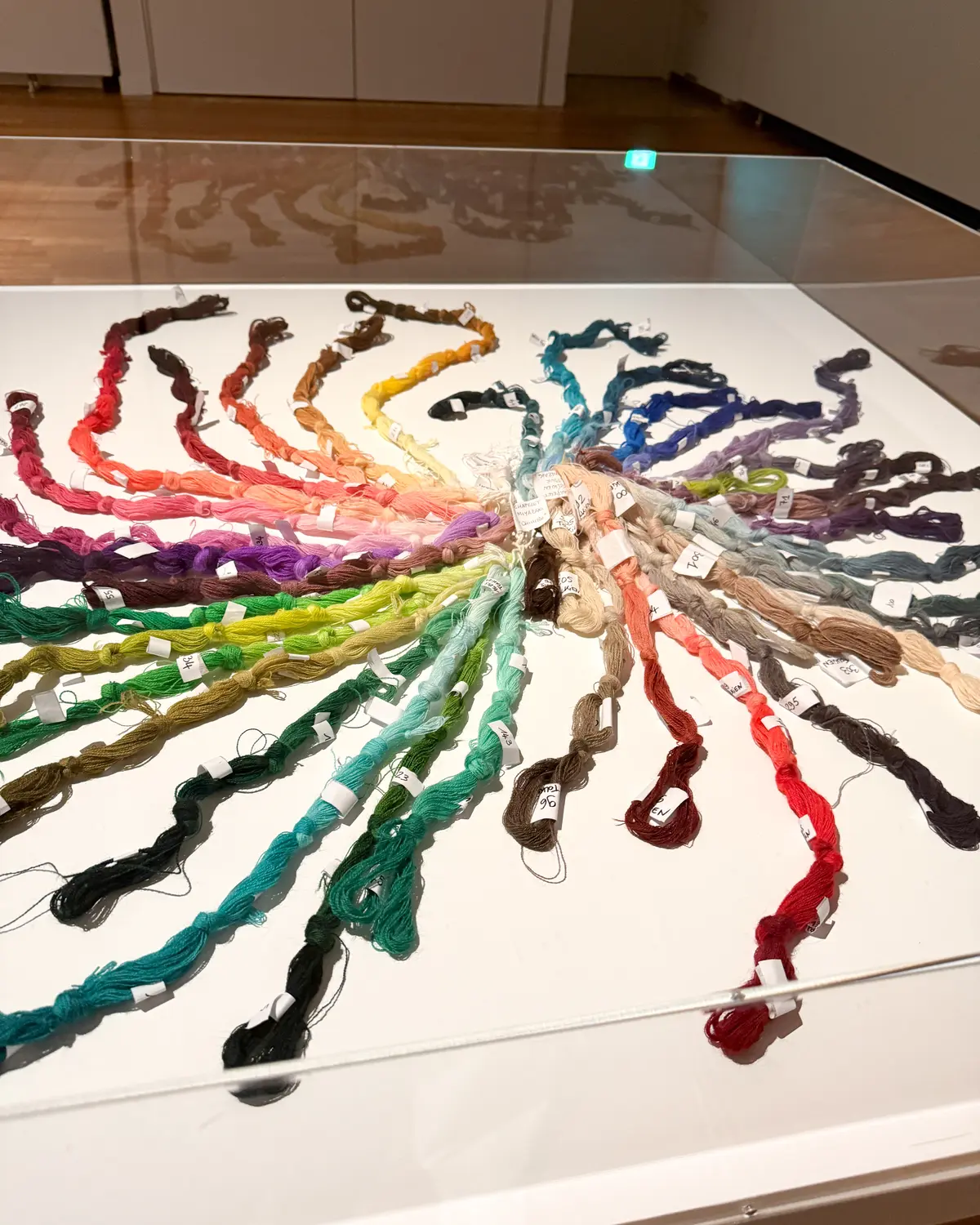 『どうぶつ百景展』は癒しの時間に@愛知県の画像_4