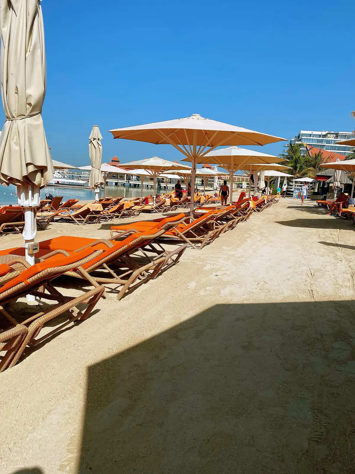 ドバイの楽園プライベートビーチ＆プール の画像_13