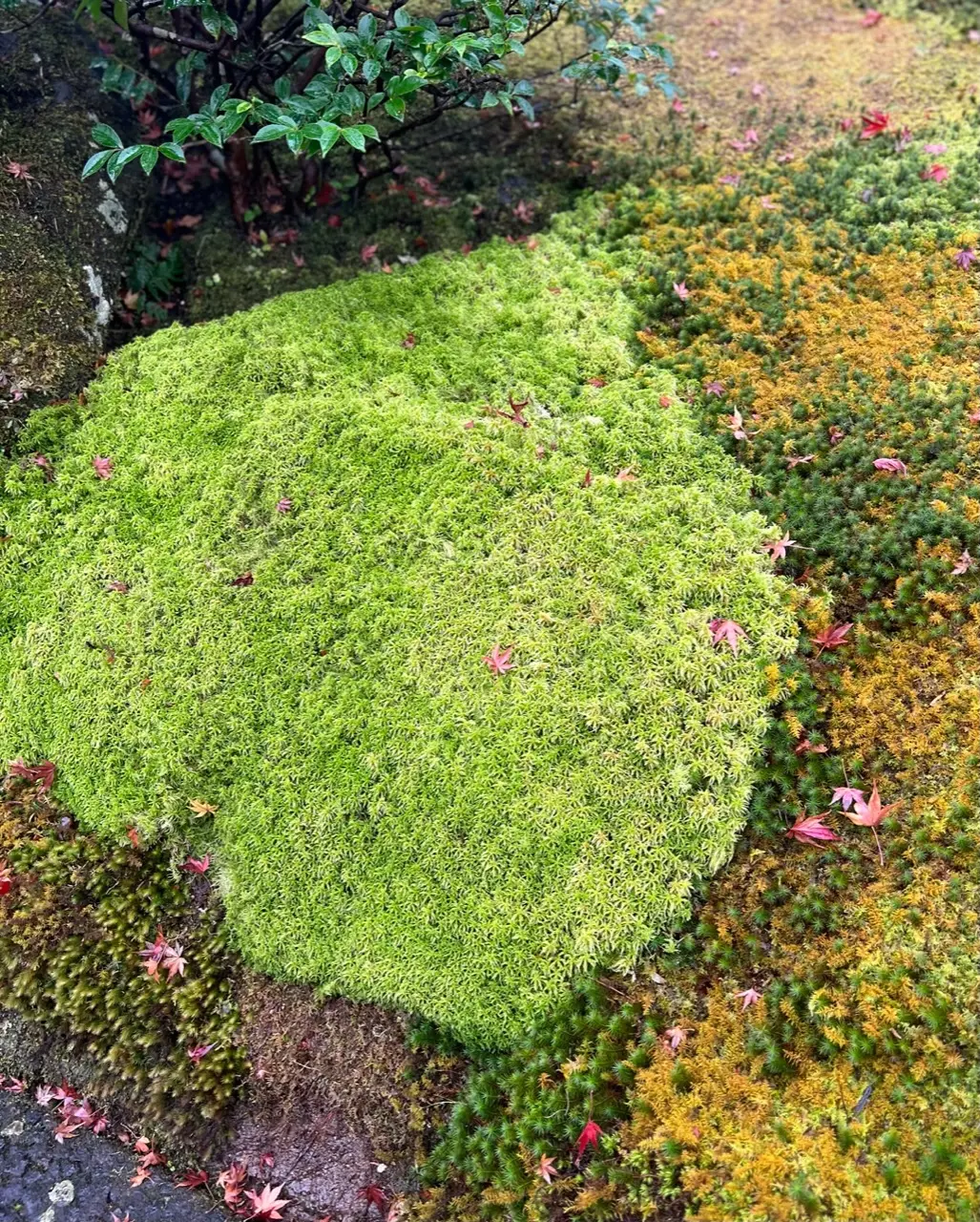 ドライブ女子旅♡雨の箱根美術館の画像_22