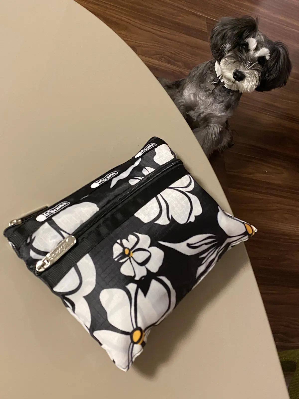 エクラコラボポーチ