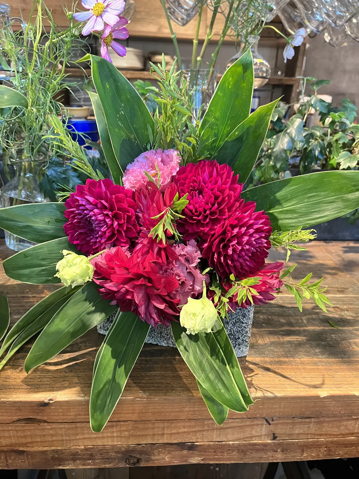 趣味を通じての画像_6