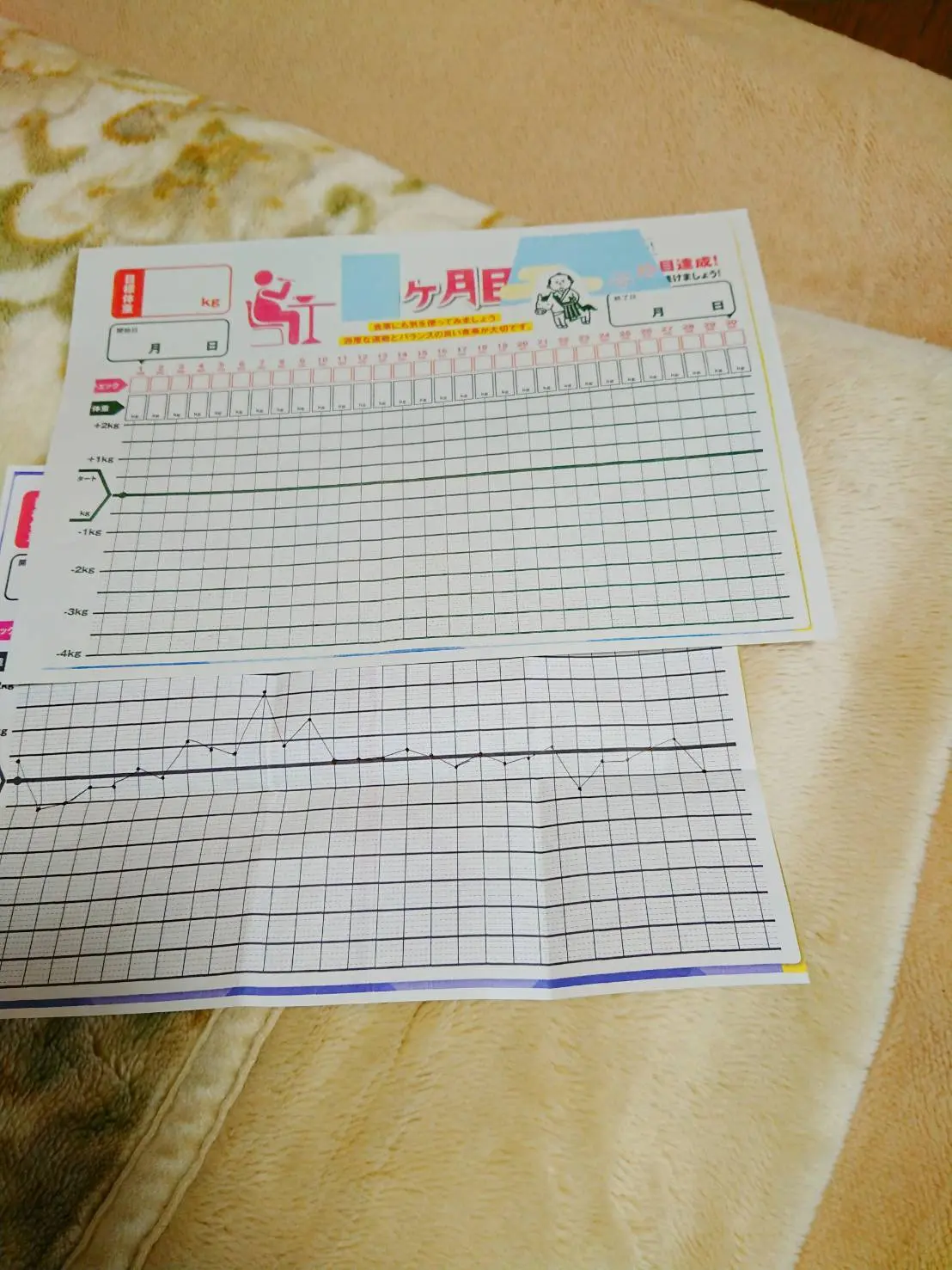手書きの体重記録グラフ 右上がりに線を引きたくない気持ちになるので数字を記録するだけより意識が高まります