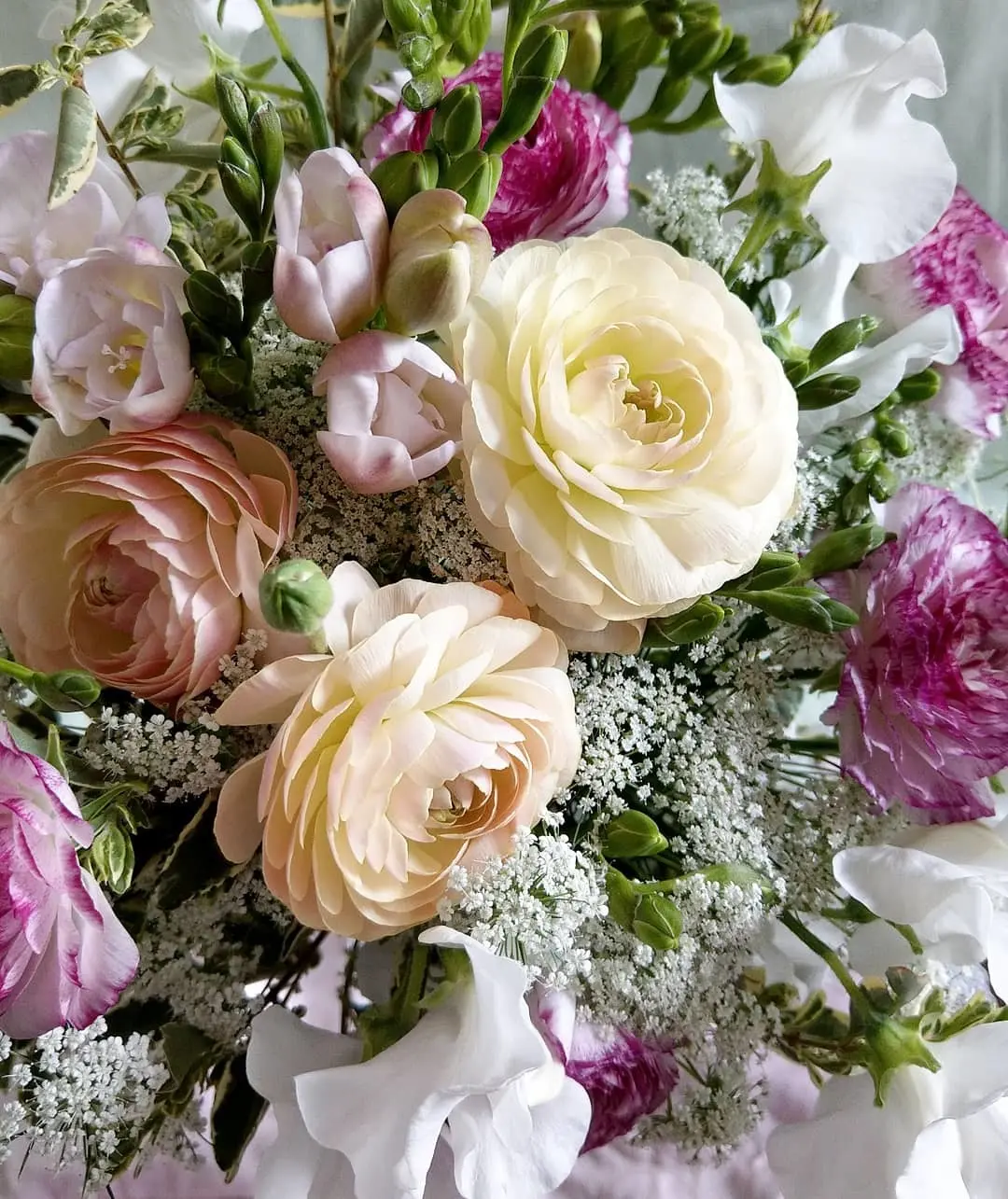 繊細な色と形のラナンキュラス