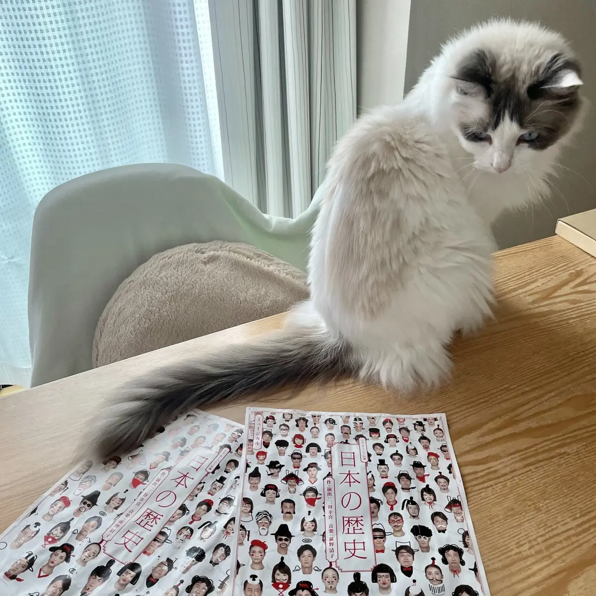 上の子とチラシ