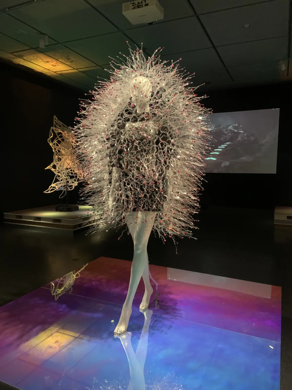 目の保養と、心に栄養をの画像_1