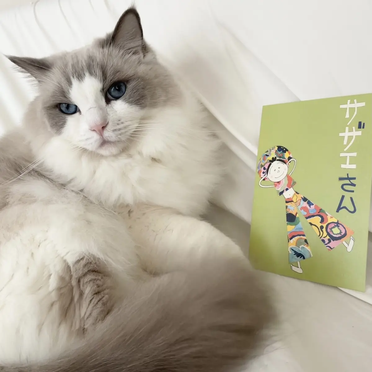 下の子とサザエさん絵葉書