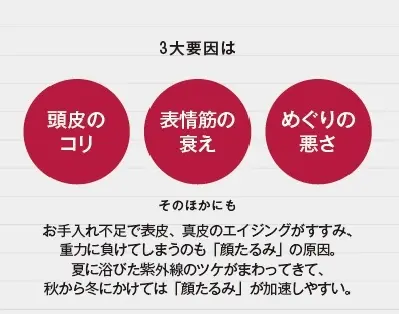 エクラ世代は昔よりも3㎝顔が大きくなっての画像_3
