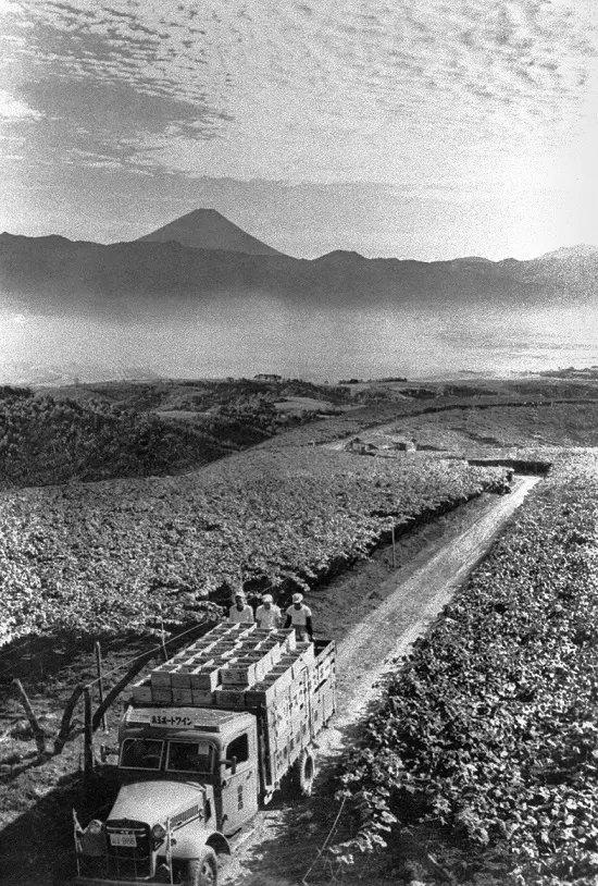 “津軽＆会津”のワインは東北らしさが素敵の画像_3