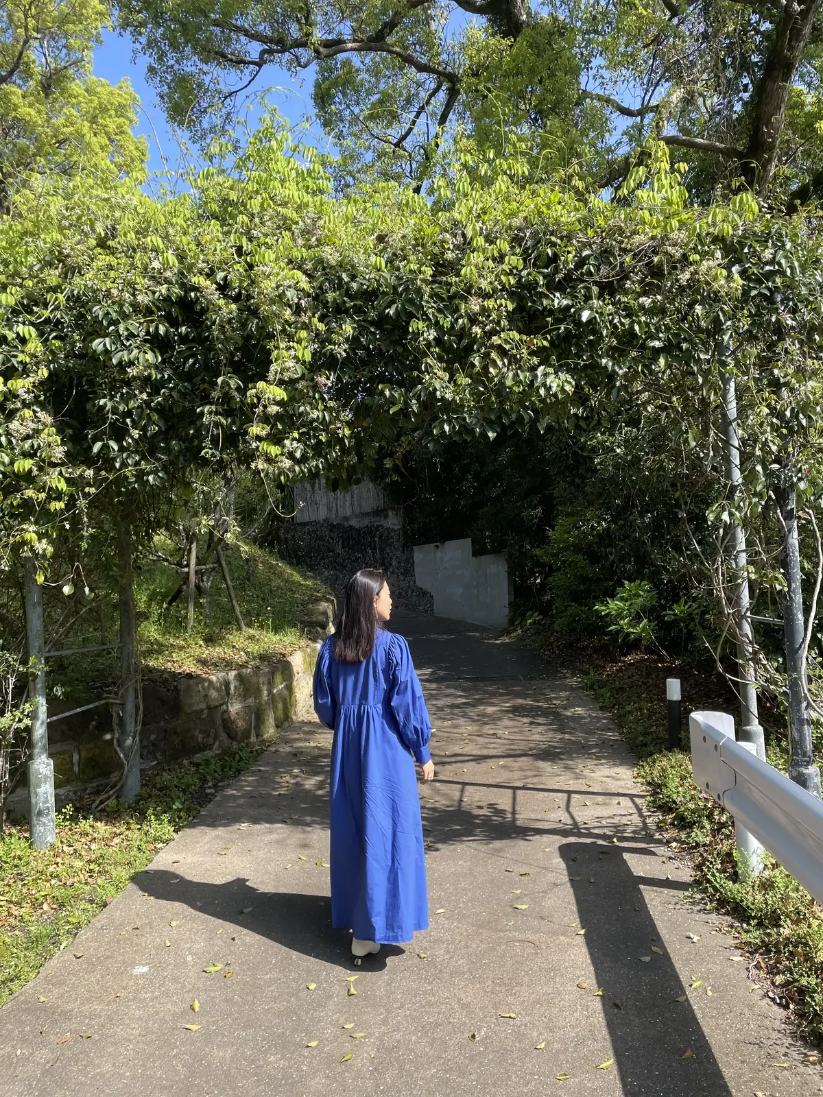 初めての鹿児島・指宿温泉の旅の画像_7