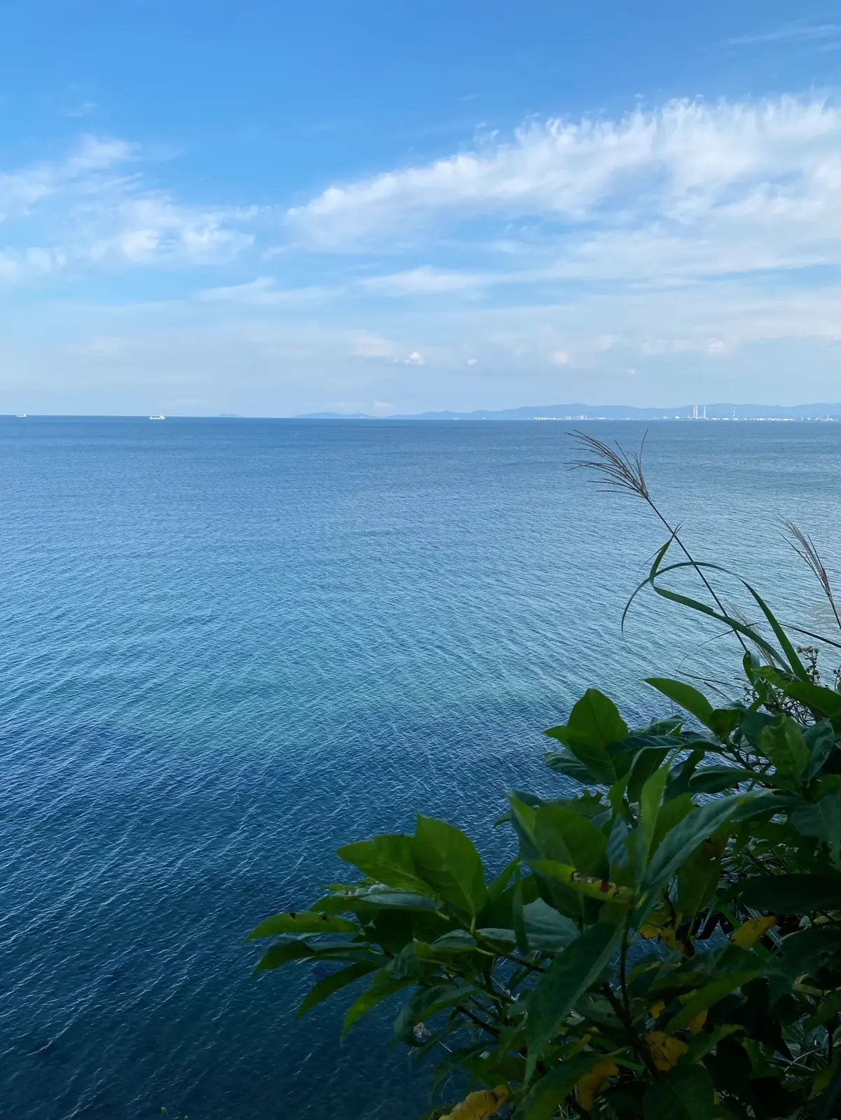 九州旅行　〜別府・美しい大神ファーム〜の画像_24