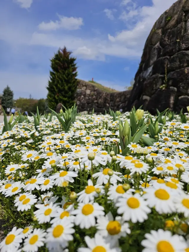 海外のような景色広がる公園の画像_6