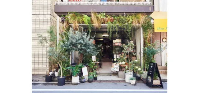 おすすめグリーンショップ　品川区にあるTRANSHIP