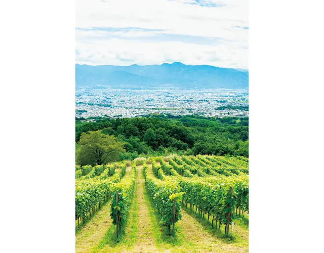 この風景に心洗われる！