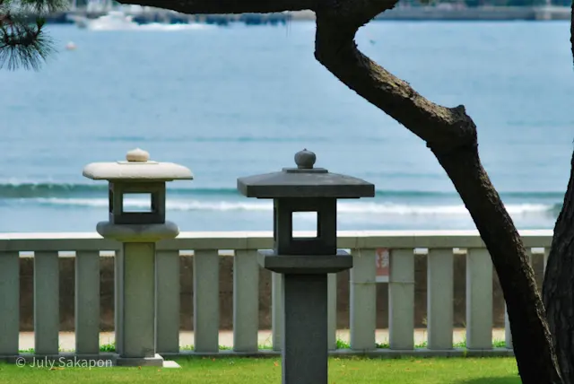 【さかぽんの冒険】七夕☆松ごしに望む海岸の画像_17