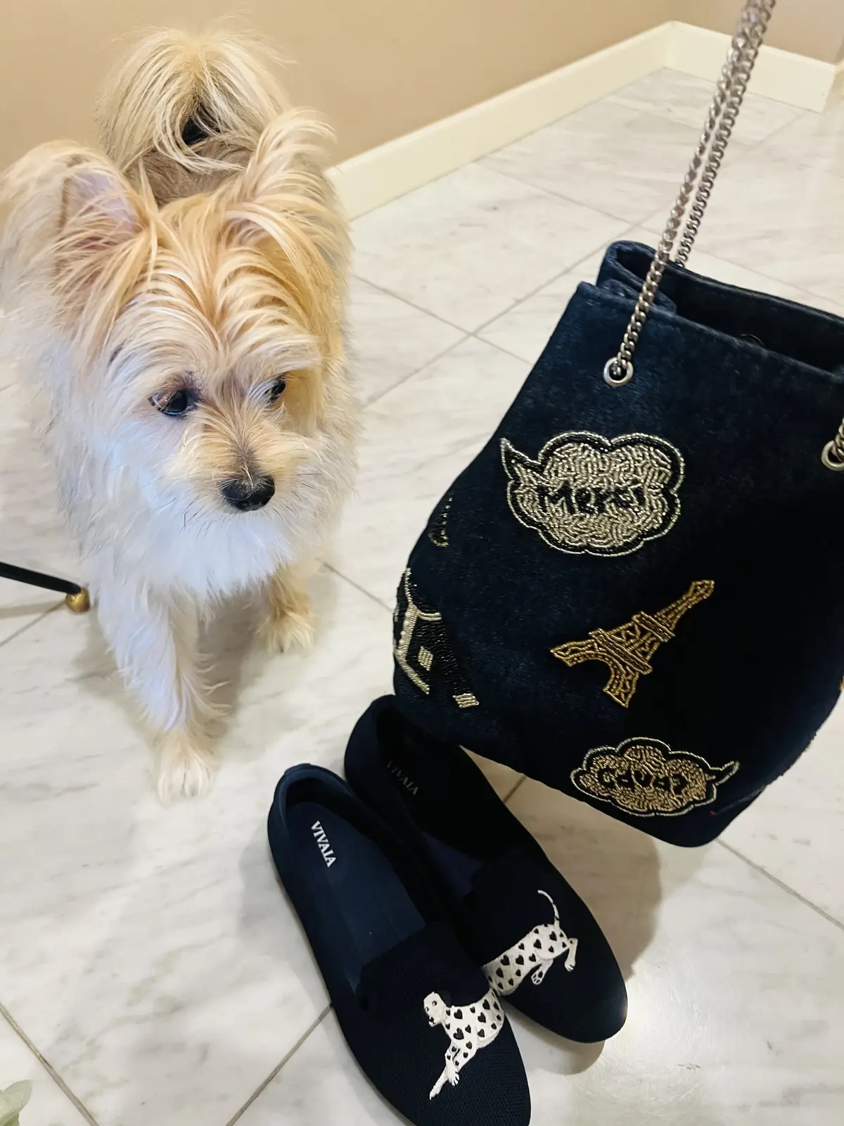 お気に入りのお気に入りのバッグとシューズ