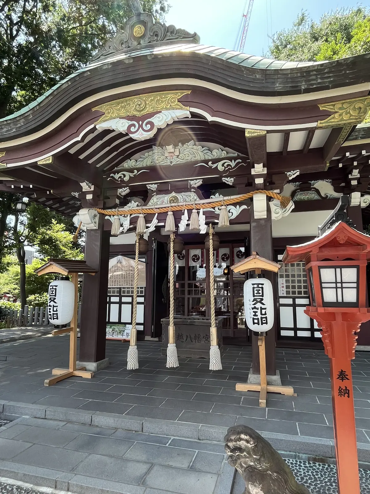 茅の輪くぐりと楽しみにしていたライブの画像_7