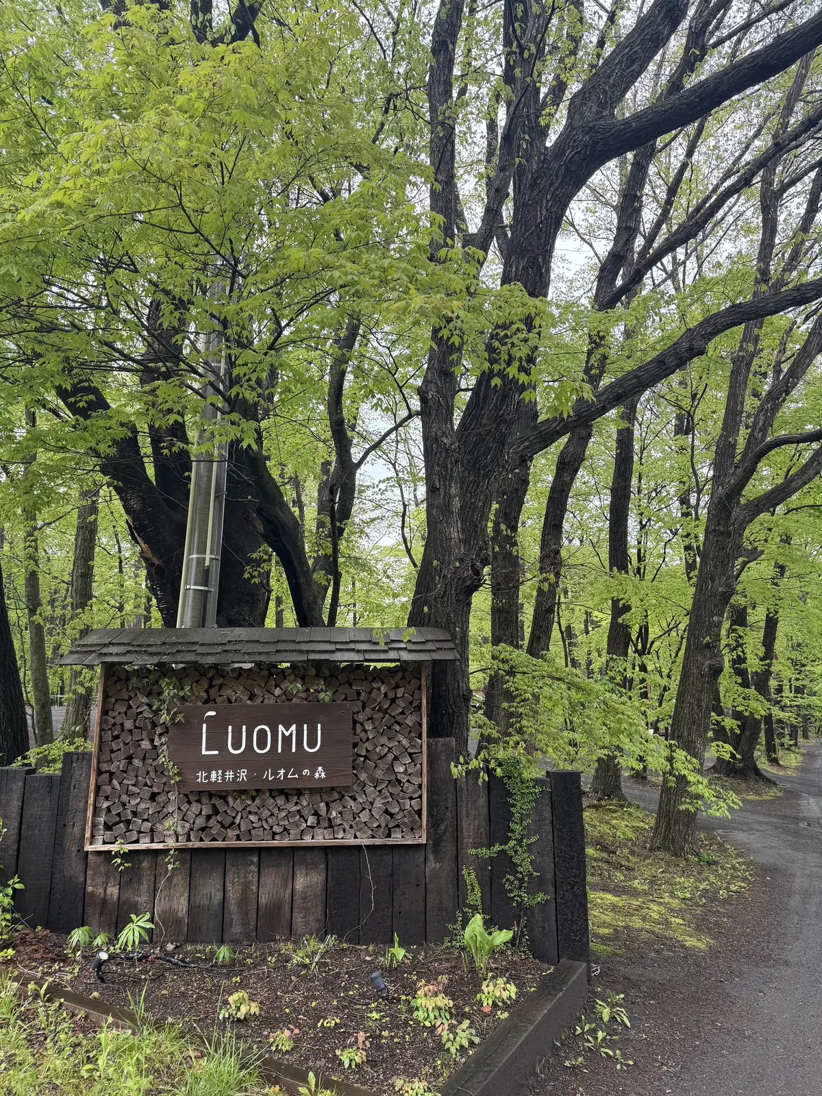 ルオムの森