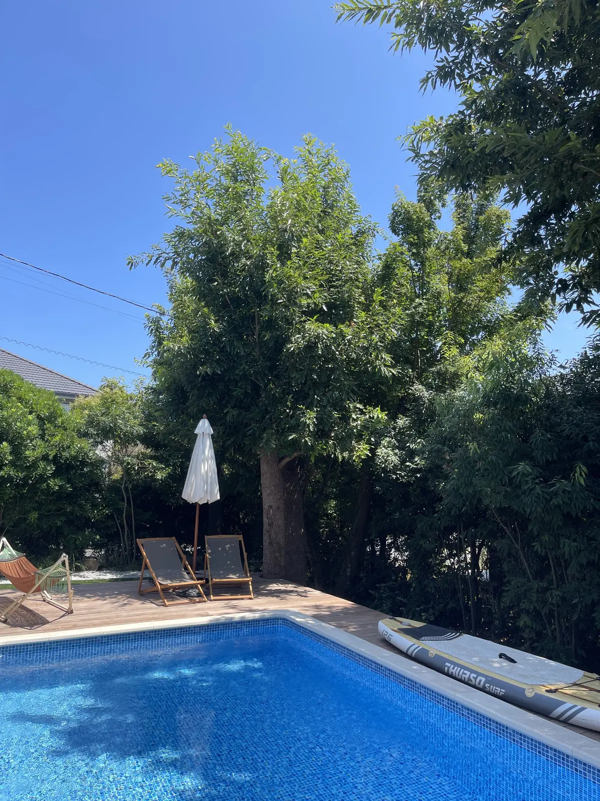 伊豆ライフのはじまりの画像_1