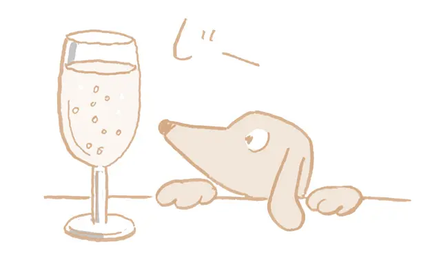 【自律神経を整える方法①】“ゆっくり動くもの”を見る