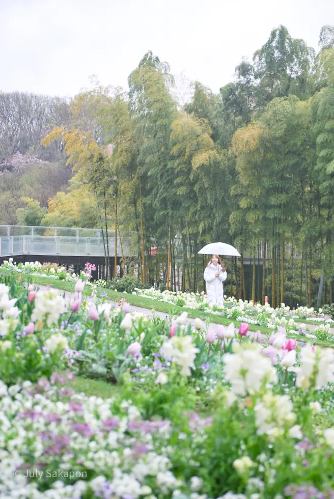 【さかぽんギャラリー】里山ガーデンフェスの画像_7