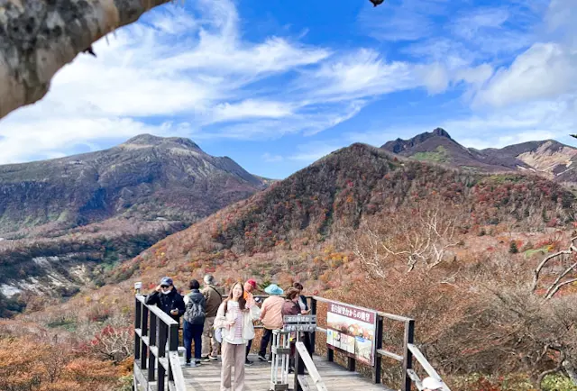 【新宿発】那須塩原🍁日帰りバスツアー体験の画像_12