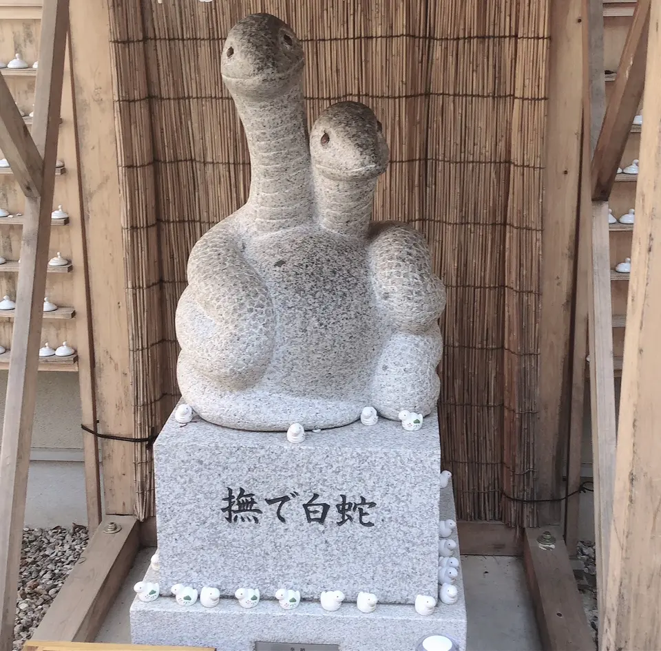 蛇窪神社　白蛇