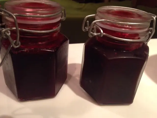 お庭の『ジューンベリーの実』＊収穫してジの画像_5