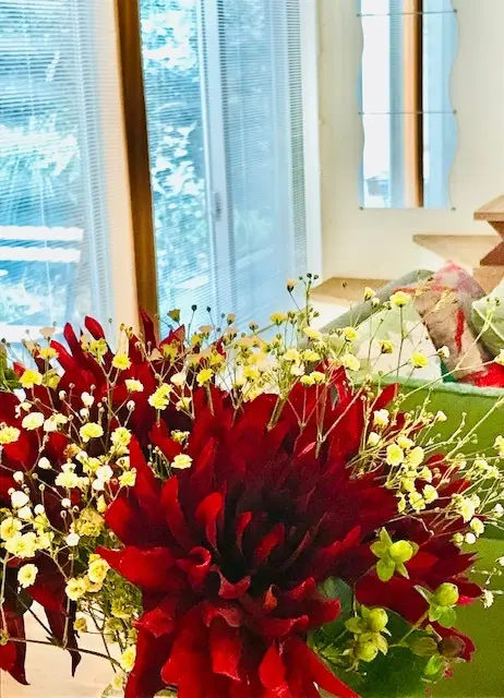 お部屋にお花を