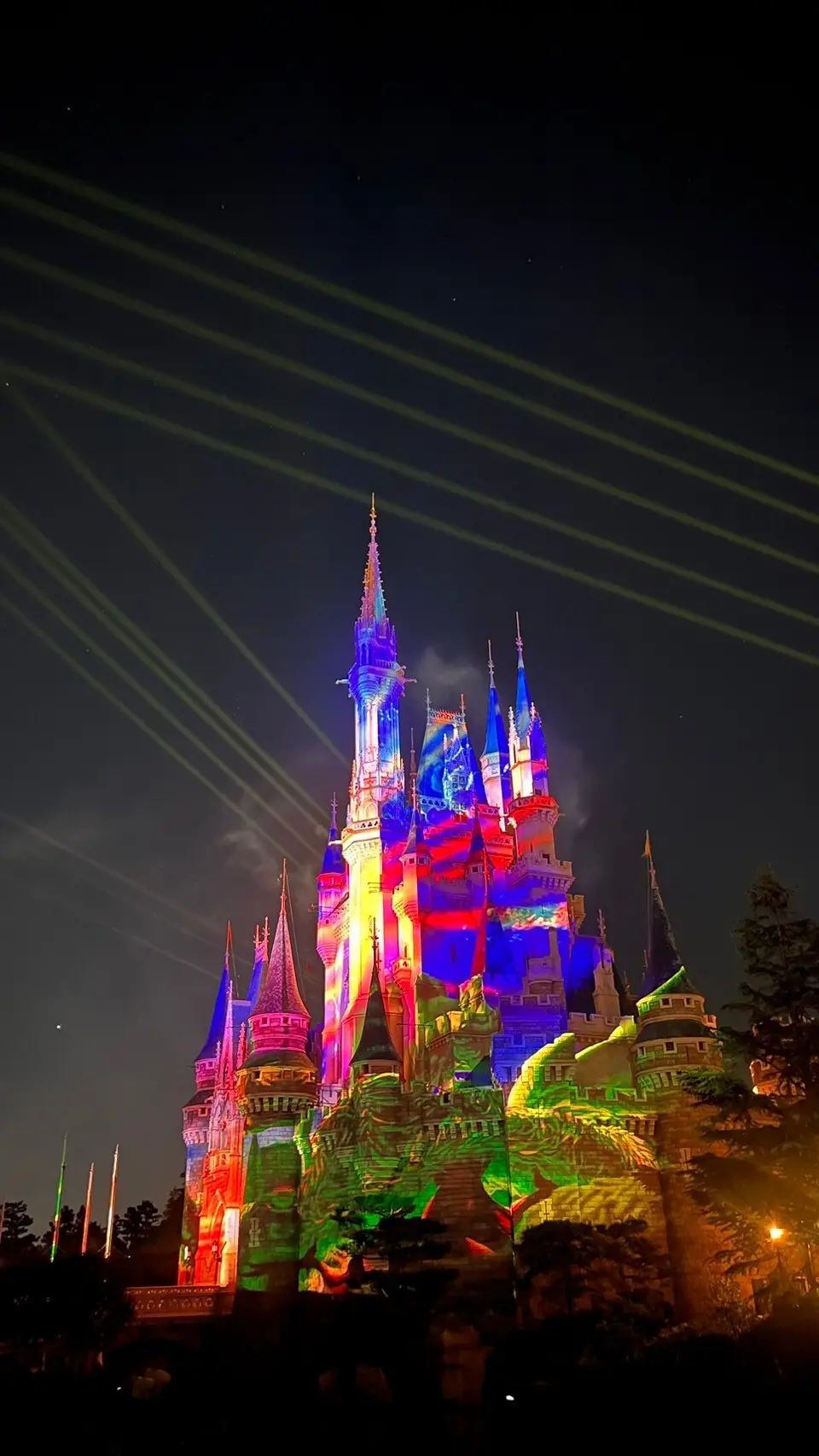 ２０２４年クリスマス直前！！【東京ディズの画像_16