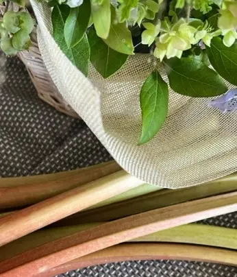 ルバーブジャム作りと熊野筆アイブローの画像_1