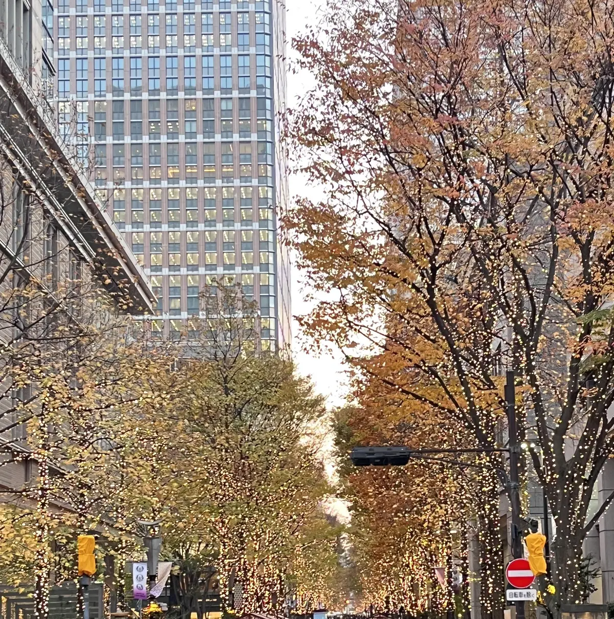 お花好きメンバーでキラキラ観賞♪日比谷〜の画像_15