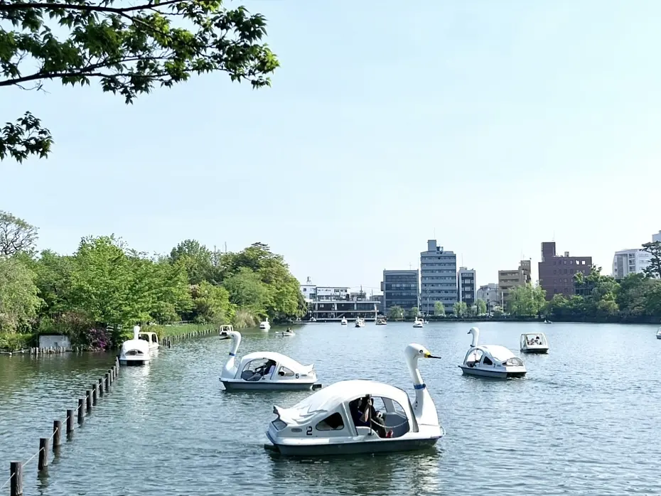 ベトナム刺繍の日傘で、両親と花々散策♩の画像_8