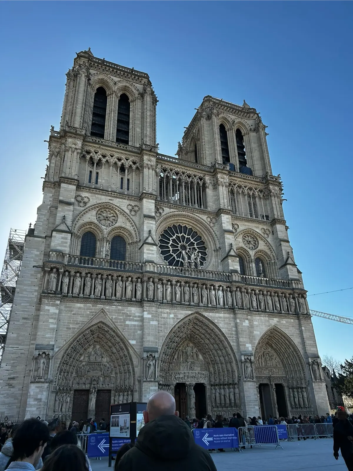 パリ　ノートルダム大聖堂　再開　Cathédrale Notre-Dame de Paris