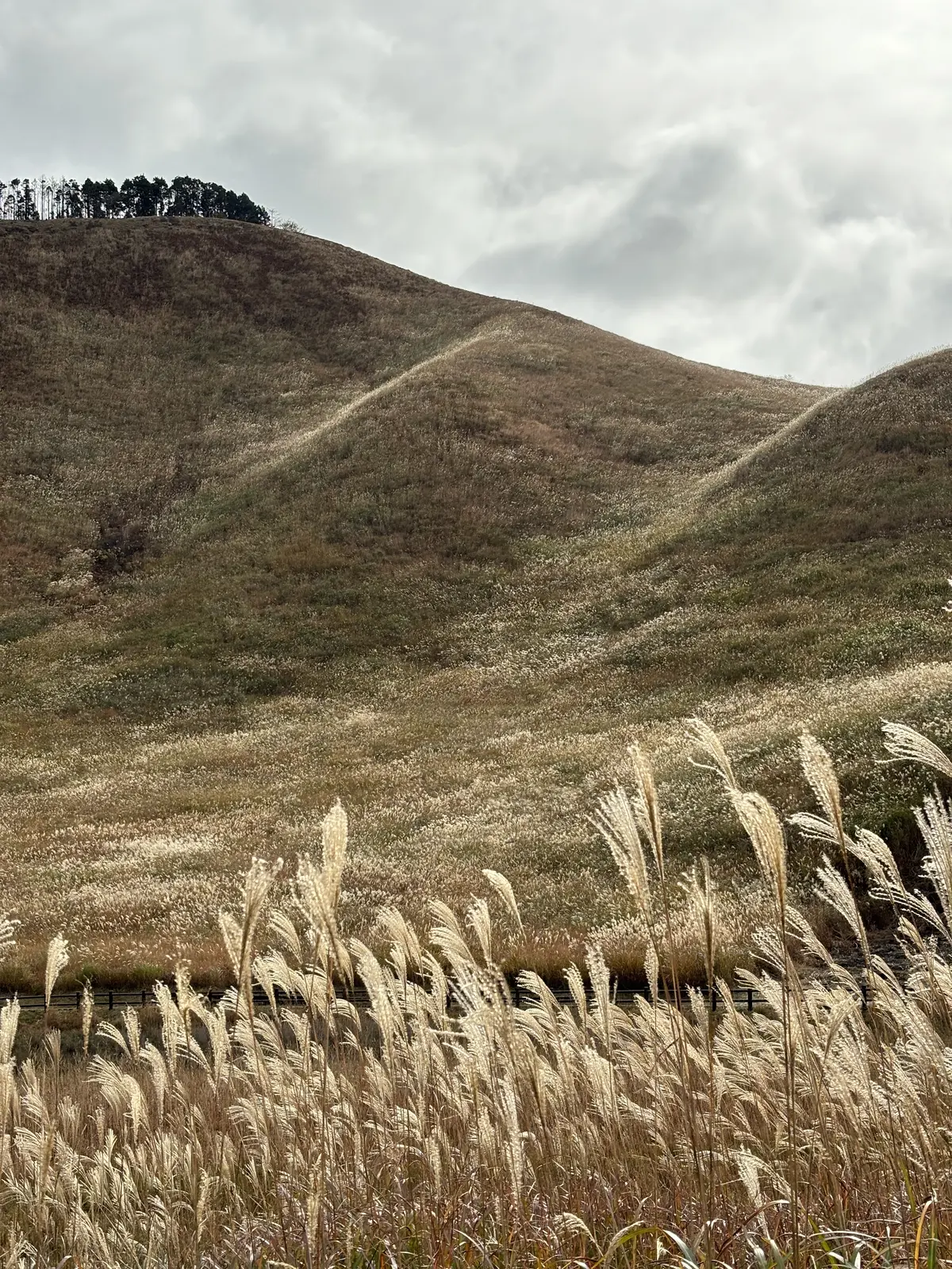 秋の大自然を満喫してきましたの画像_3