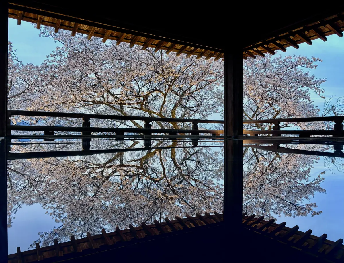 滋賀県 三井寺 観月舞台