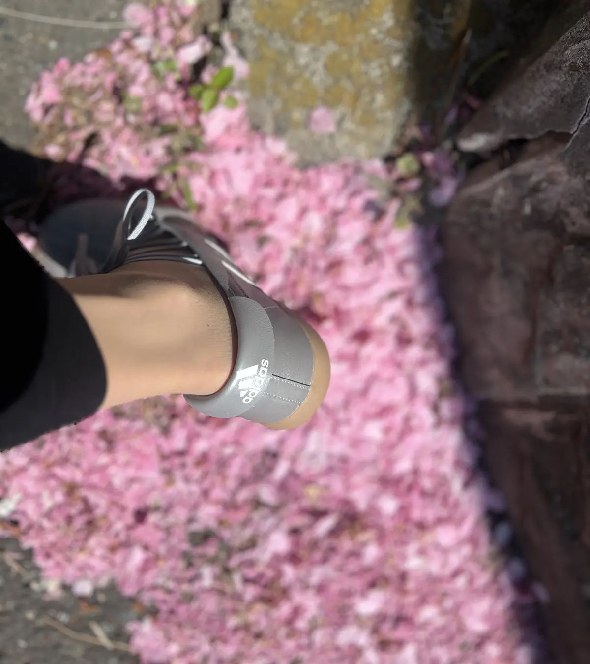 アディダス テコンドーメイ バレエは、大の画像_3