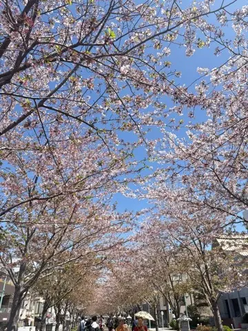 春の鎌倉でとんぼ玉作りの画像_7