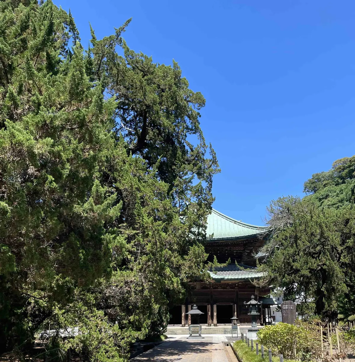 ご無沙汰していたのは...の画像_2