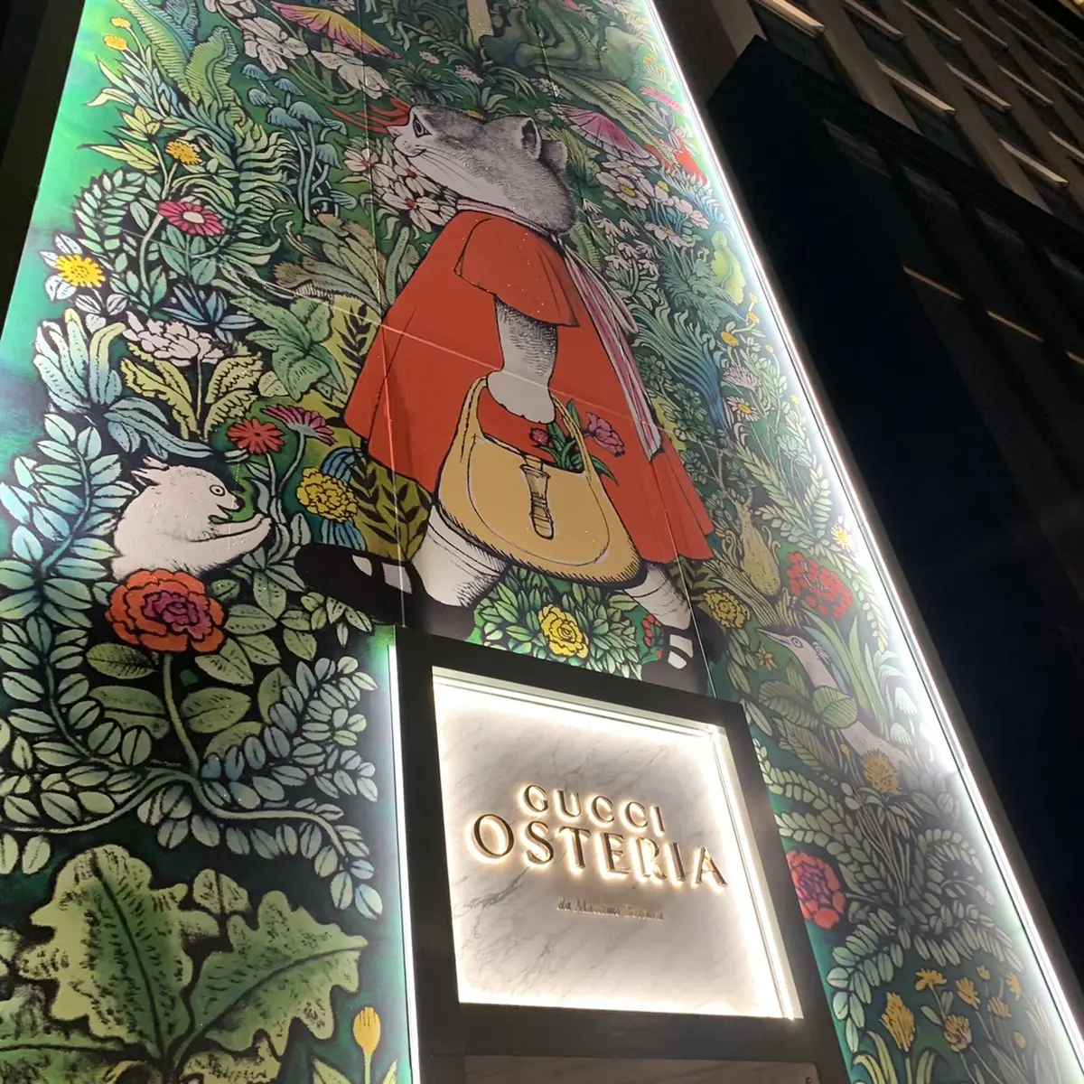 グッチ オステリア ダ マッシモ ボットゥーラ トウキョウの夜の外観