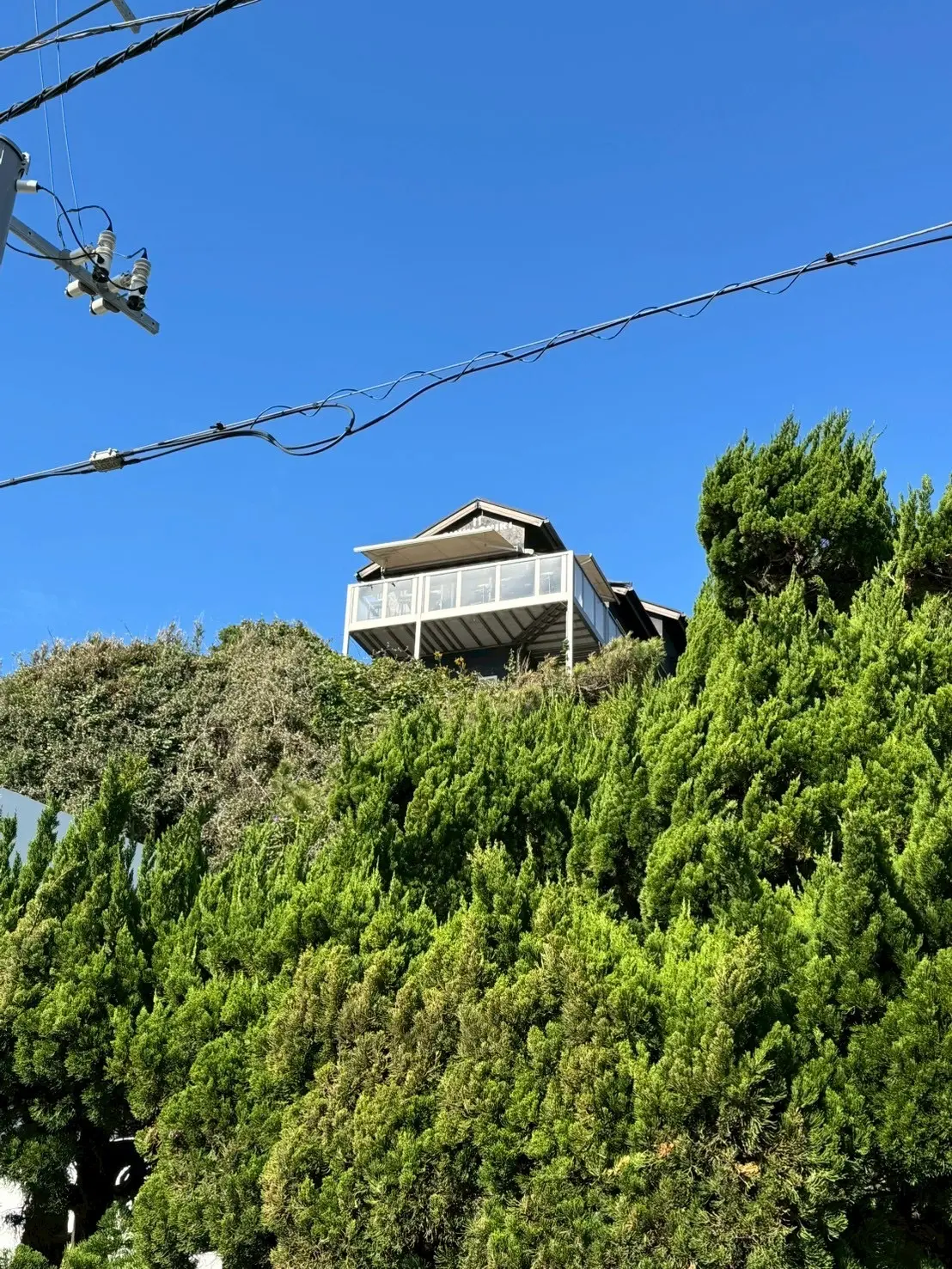 ふわふわイエローニットで鎌倉七里ヶ浜ランの画像_2