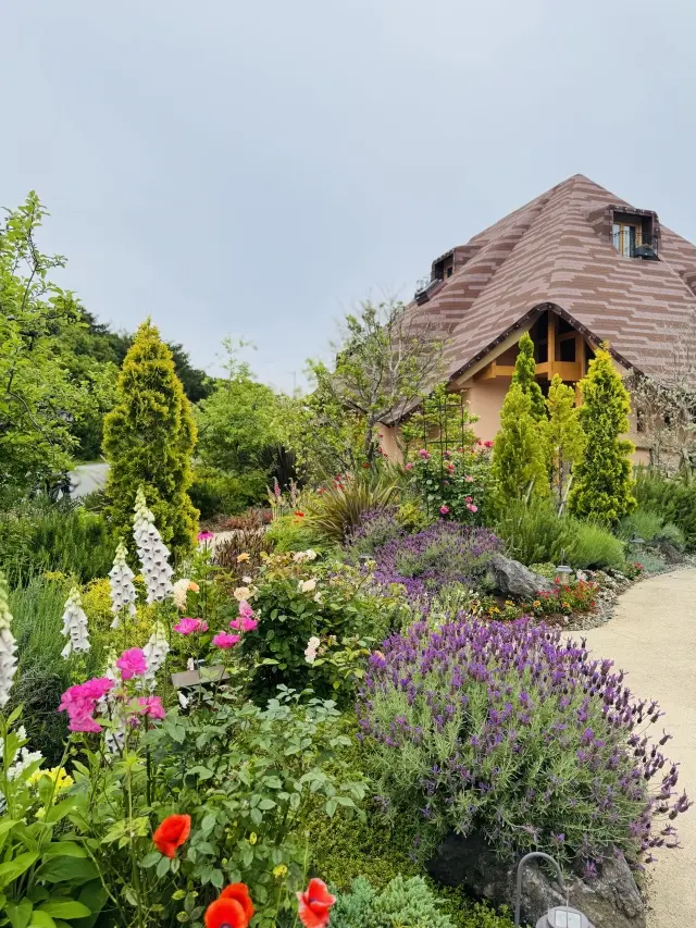 花盛り淡路島でフレンチを🍽️JマダムSAの画像_11