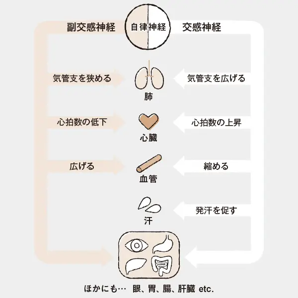 疲れているのは体じゃなく「脳」！ アラフの画像_4