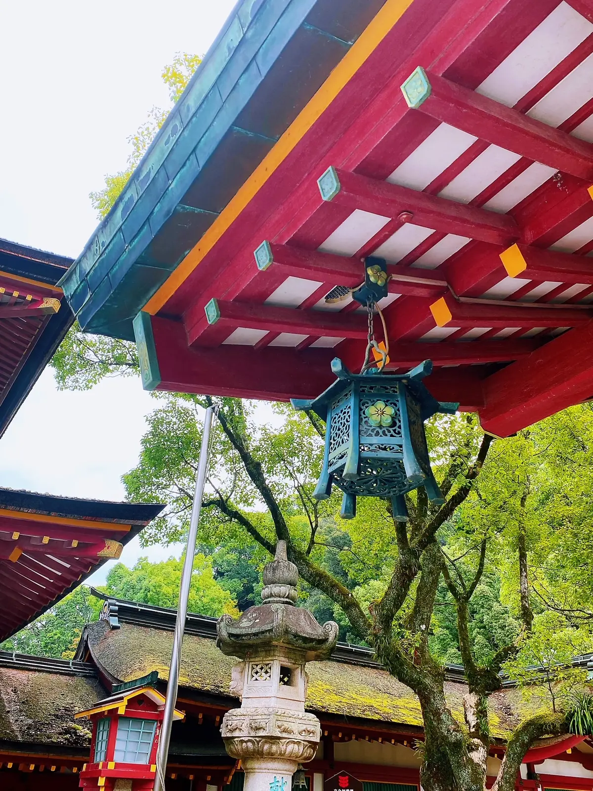 九州旅行へ　〜福岡・鹿児島編〜の画像_8