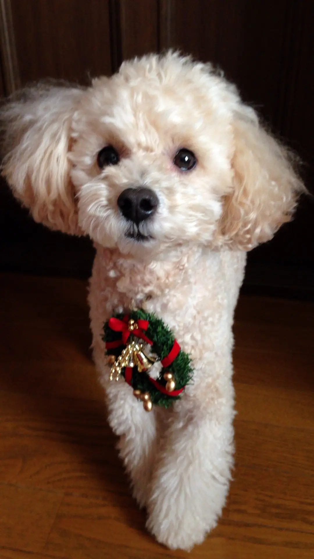 絶対に作りたいブーケの画像_12