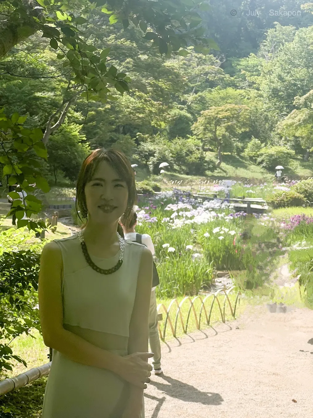 【明治神宮御苑】花菖蒲2025.6.7の画像_2