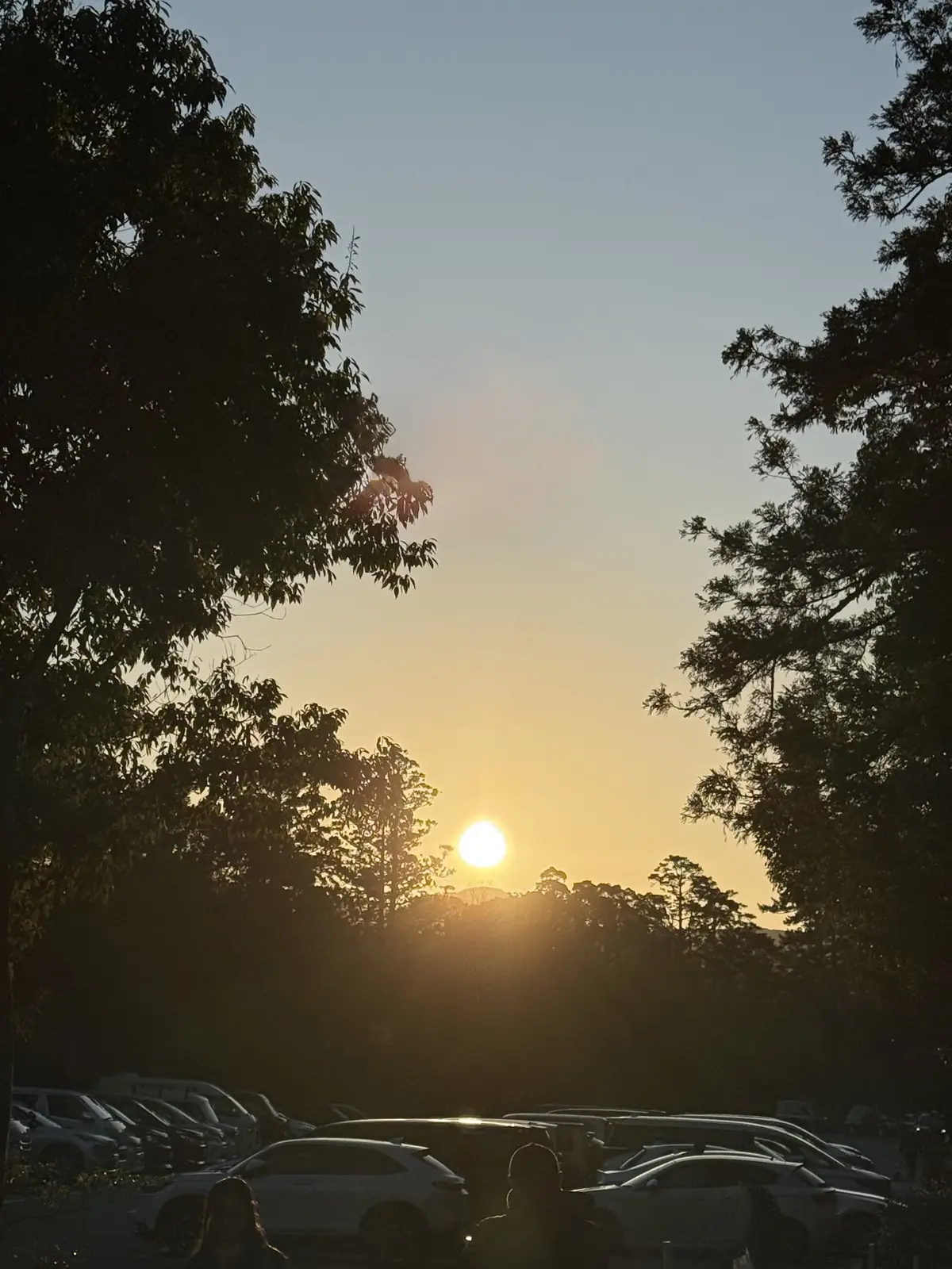 伊勢神宮　新年の挨拶　午年　外宮　内宮　ドライブ　神社　神社仏閣巡り　日の出　元旦　心が整う　朝の空気　パワースポット　パワースポット巡り　初日の出　三重県　気が整う　初詣