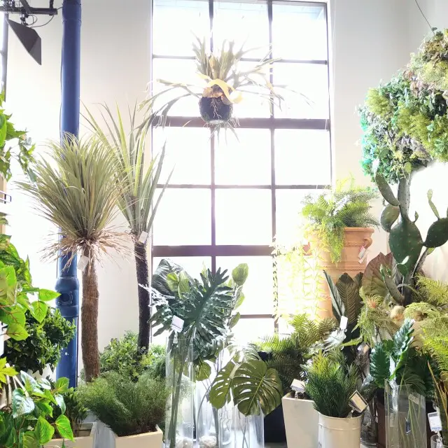 おしゃれな癒やし空間で花材の買い物の画像_3