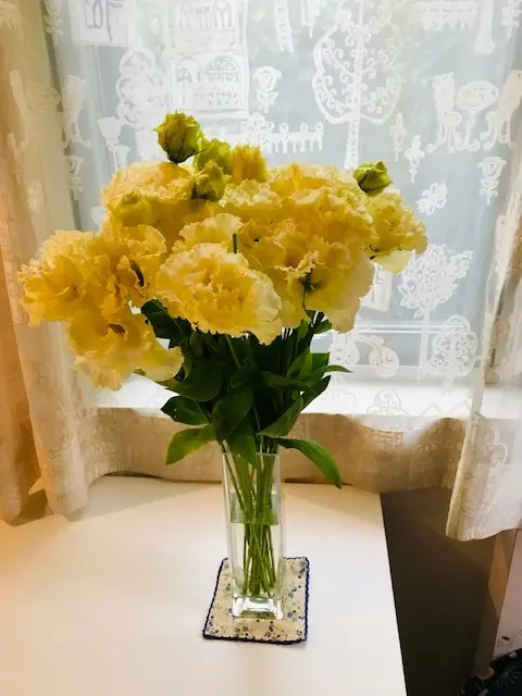 我が家の日常の花の画像_5