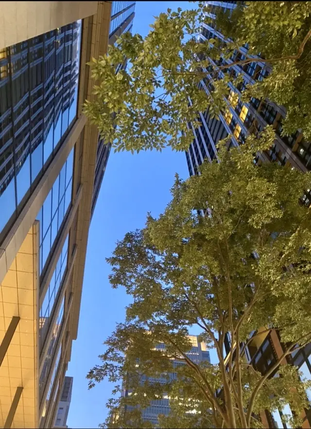 梅雨の合い間、晴れた夜の空を見上げて✨の画像_1