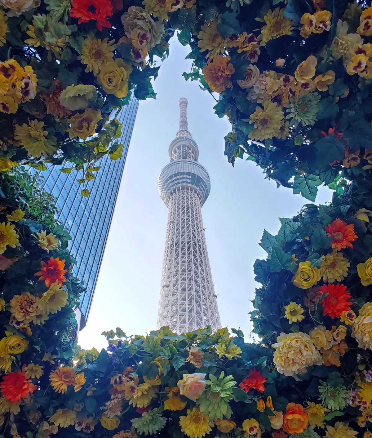 プラネタリウムと味噌活でソロ活♪の画像_4